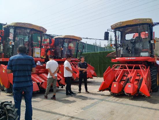 邳州玉米最新價格，時代見證下的市場動態(tài)