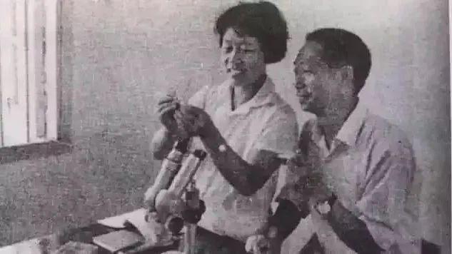 袁隆平最新動態(tài)及雜交水稻領(lǐng)域的貢獻與爭議