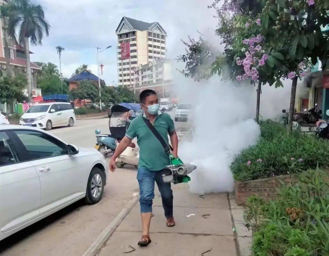 景洪登革熱最新疫情動(dòng)態(tài)，挑戰(zhàn)與自信之光的博弈