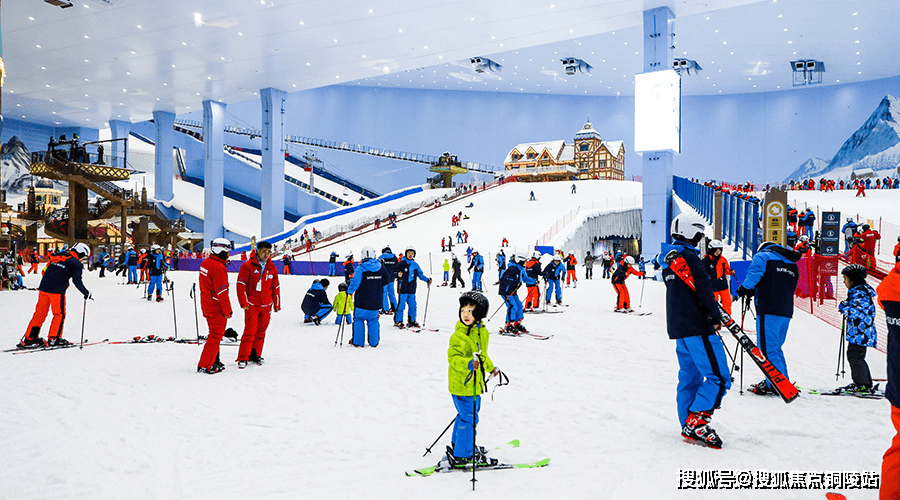 2024六何彩生肖圖開獎結(jié)果查詢,科學依據(jù)解析_XOJ83.285溫馨版