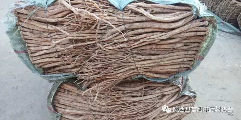 渭源黨參干貨最新價格及獲取指南，了解黨參干貨價格走勢與行情分析