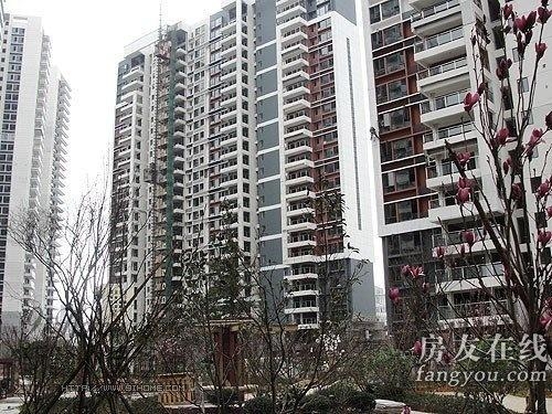 綠地長島公寓最新價(jià)格揭秘，小巷深處的隱藏寶藏