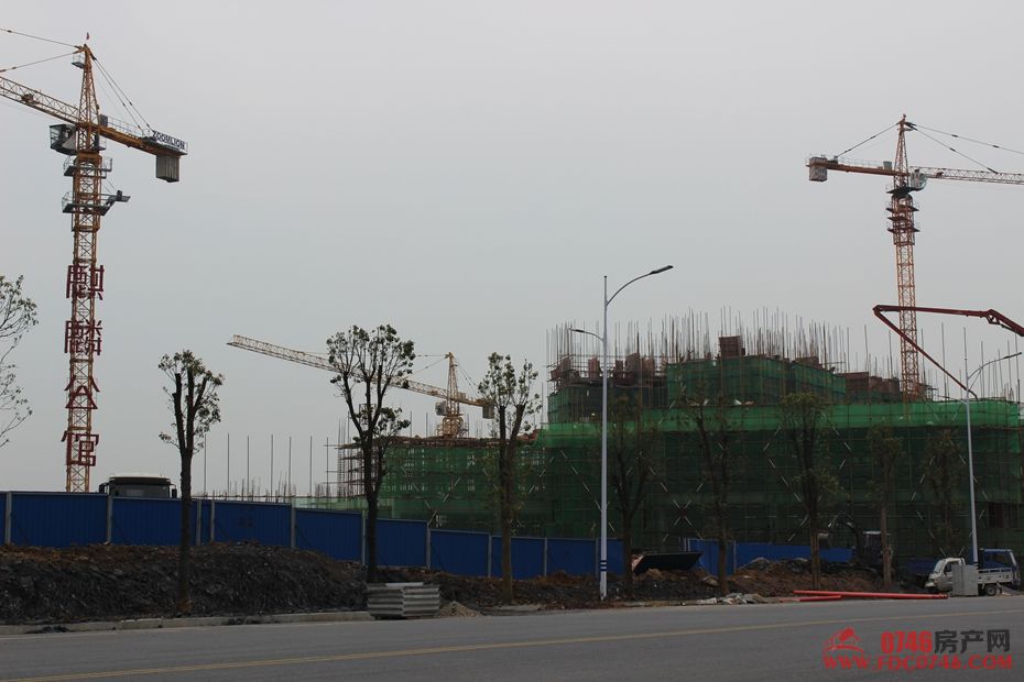 池州麒麟公館最新動(dòng)態(tài)揭秘，最新進(jìn)展與資訊更新