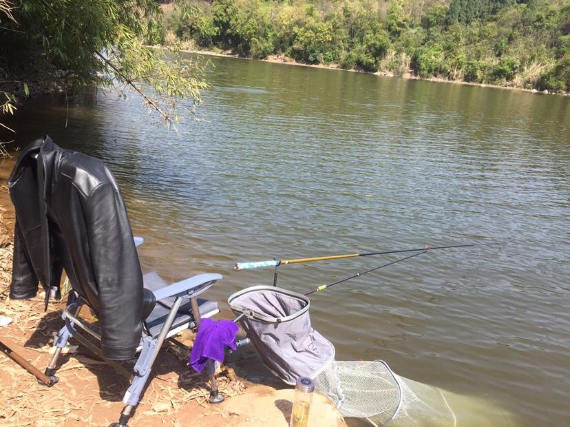 山門寺水庫釣魚最新指南,垂釣攻略與技巧分享