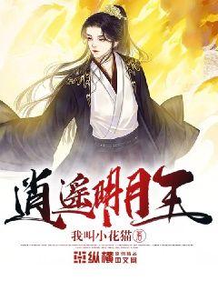 時代之光下的璀璨篇章，明月珰最新連載熱議熱議熱議！