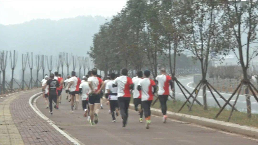 古田環(huán)湖路最新動(dòng)態(tài)揭秘，時(shí)代脈搏與城市發(fā)展的融合之路