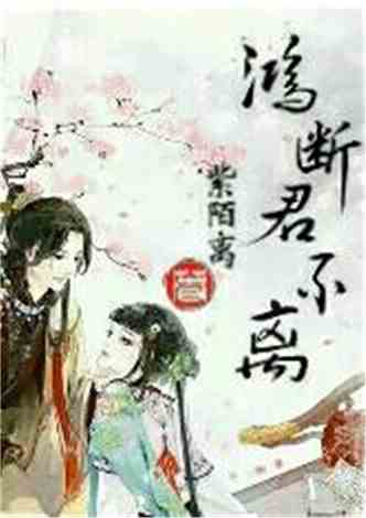 沈南汐最新小說，知識(shí)的力量，成就夢(mèng)想的翅膀之路