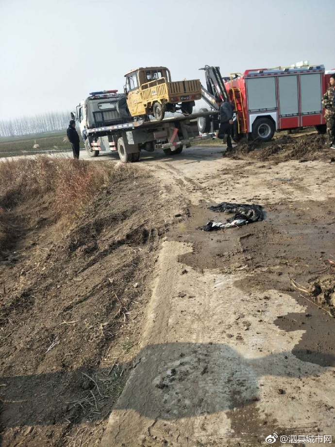 泗縣車禍悲劇，警醒與深思背后的最新新聞報(bào)道