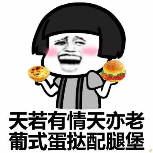 小巷深處的歡樂小鋪，最新幽默搞笑圖片大放送