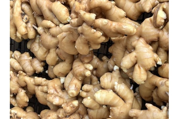昌邑生姜市場(chǎng)最新價(jià)格指南，全面了解生姜市場(chǎng)行情與價(jià)格動(dòng)態(tài)