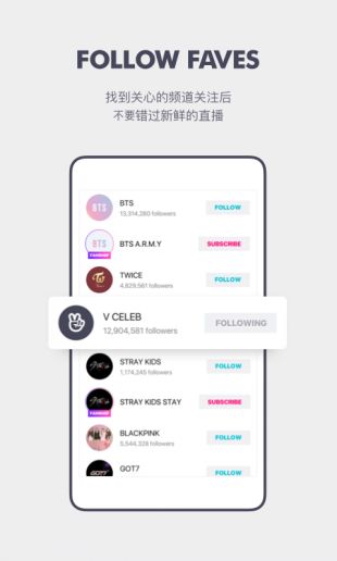 VAPP最新版下載，觀點(diǎn)論述與獲取渠道