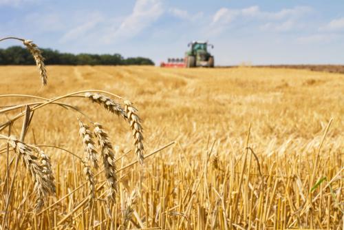 鶴壁小麥最新行情，科技引領農(nóng)業(yè)新時代，市場智能體驗新篇章