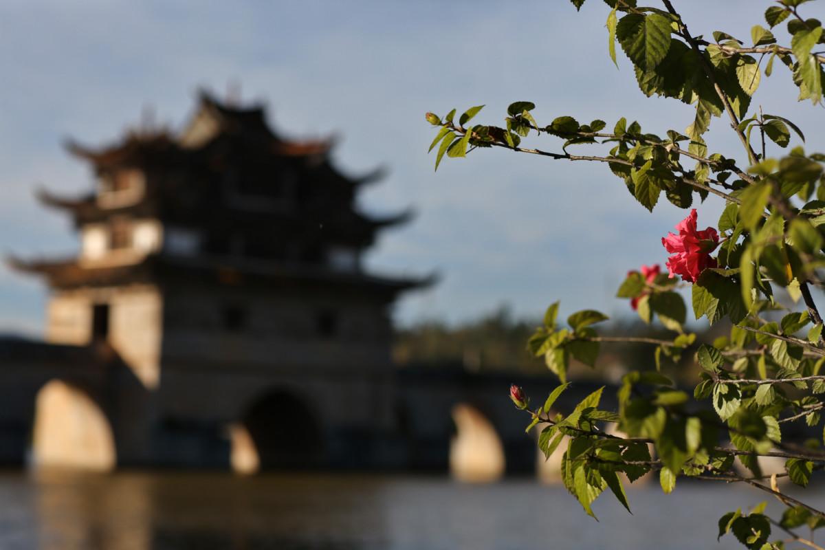 大冰最新力作，智能生活新紀(jì)元——科技與生活的完美融合