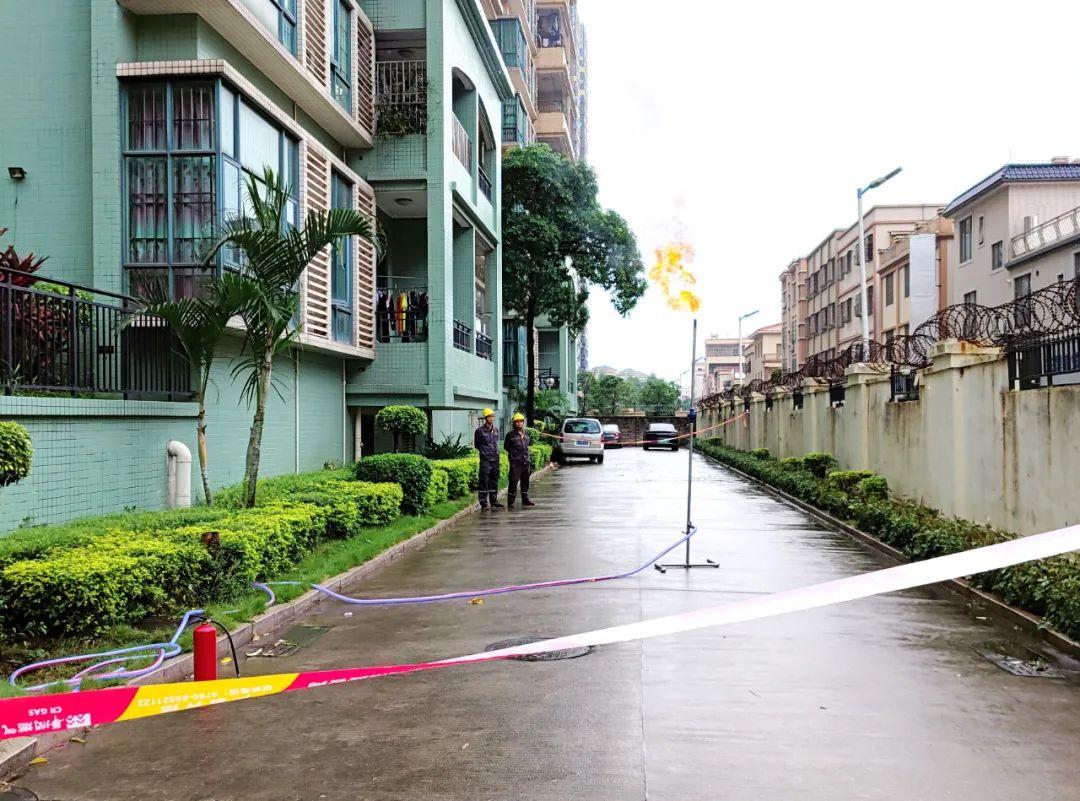 中山東鳳佛奧最新動態(tài)，自然美景的探索之旅，尋找內(nèi)心平和與寧靜