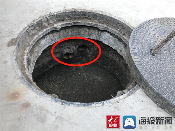 福建臺幫幫團最新一期揭秘，小巷深處的隱藏美食瑰寶