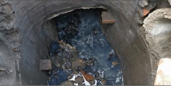 遂寧市電子廠最新招聘，與自然共舞，探尋內(nèi)心寧?kù)o之旅