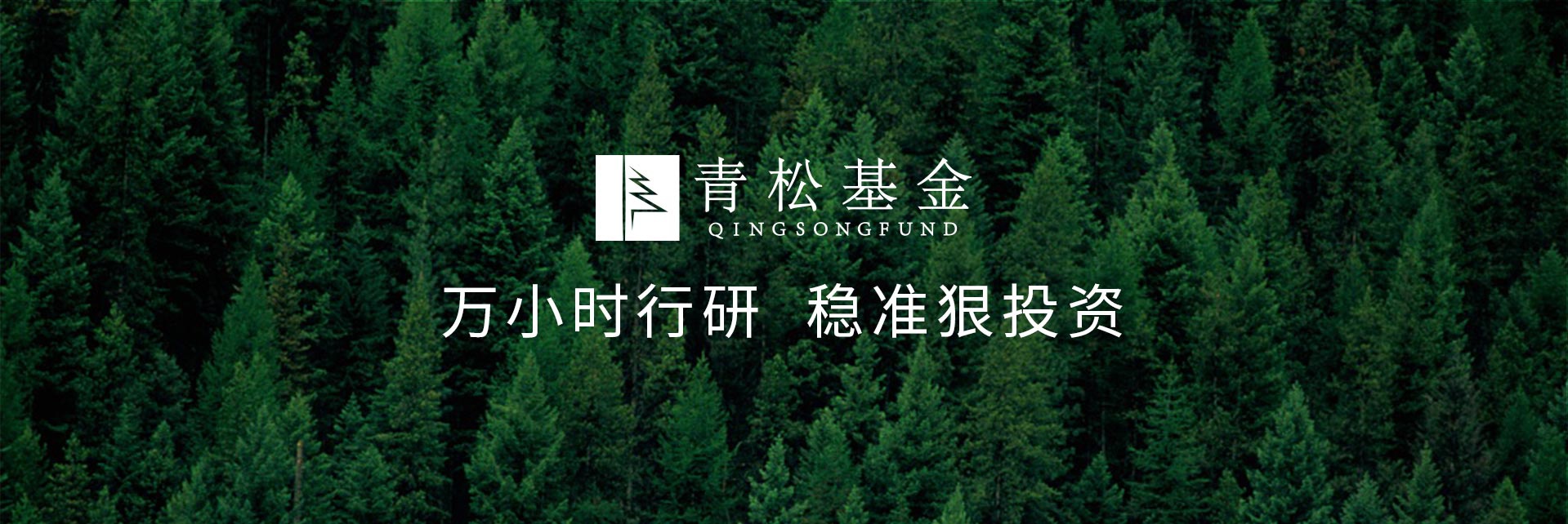 長青樹眾籌最新動態(tài)，背景、發(fā)展與時代地位探索