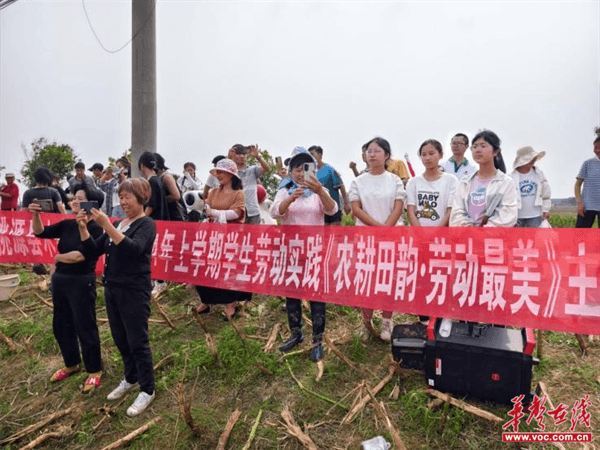 桃源木塘垸鄉(xiāng)新動(dòng)態(tài)，趣事連連，真摯友情綻放鄉(xiāng)間