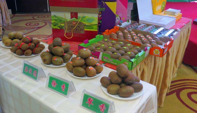 嘉興對接上海最新進展，城市崛起中的自信與成就感展現(xiàn)新面貌