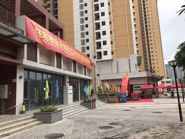 羊臺苑公租房最新動態(tài)與巷弄中的驚喜小店探秘