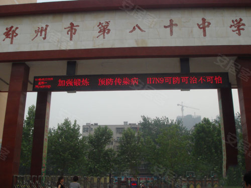 中原區(qū)九龍城最新動(dòng)態(tài)深度解析，最新進(jìn)展與觀點(diǎn)闡述