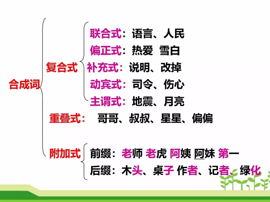 最新合成詞，語(yǔ)言發(fā)展的微觀視角探索