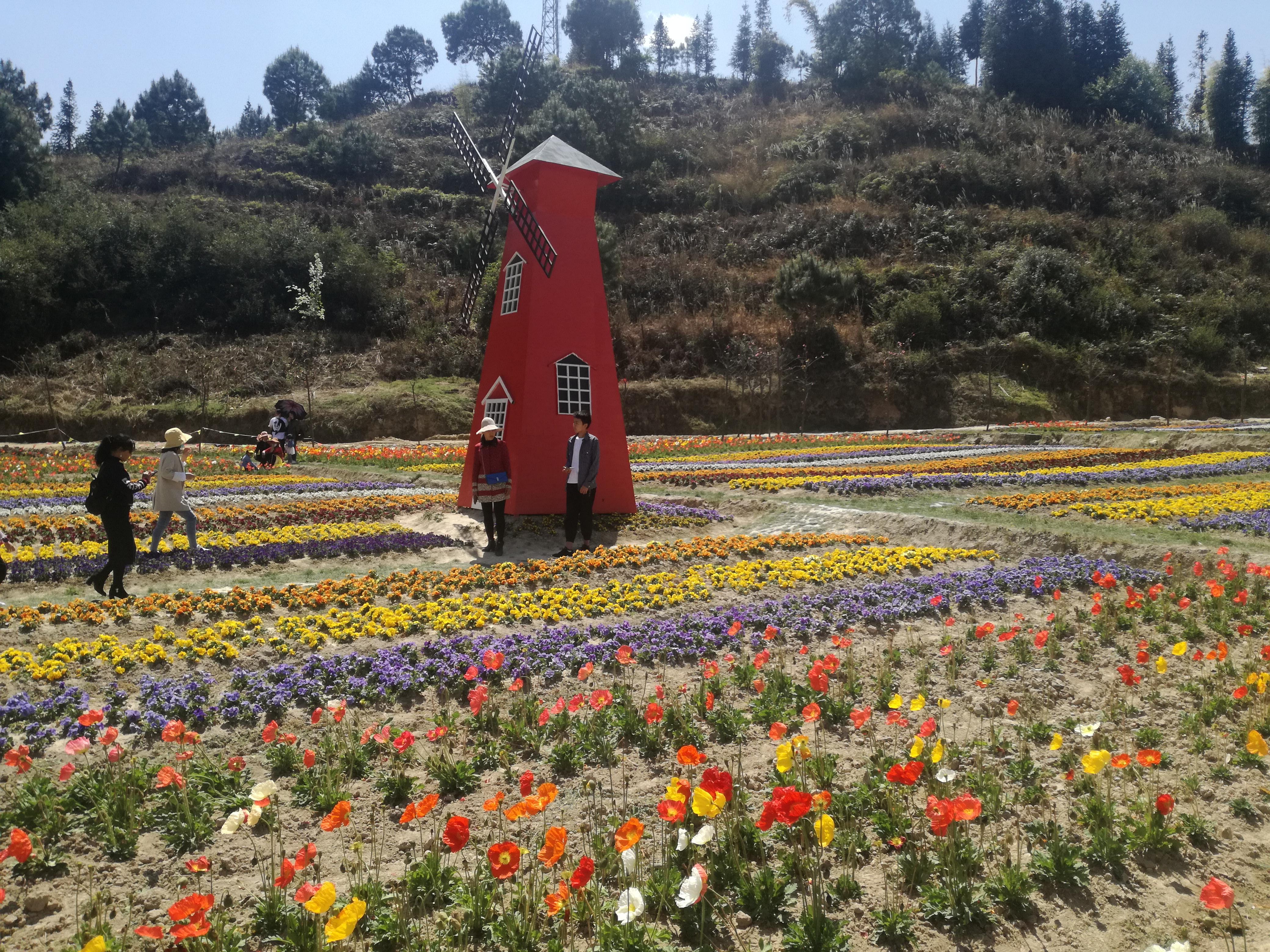 臨滄市最新探索，自然美景之旅，尋找內(nèi)心平和的旅程