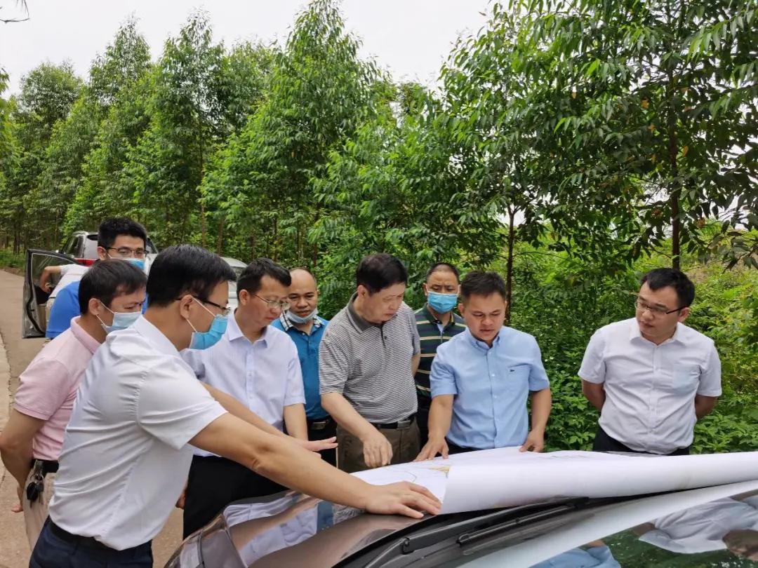 南寧龍象谷最新資訊，游玩指南與技能學習步驟全解析