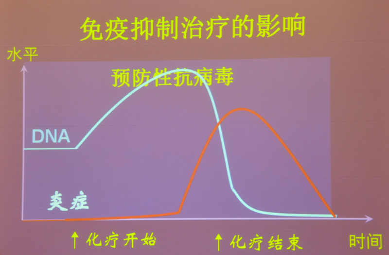 肝炎新進(jìn)展揭秘，小巷深處的秘密小店探索