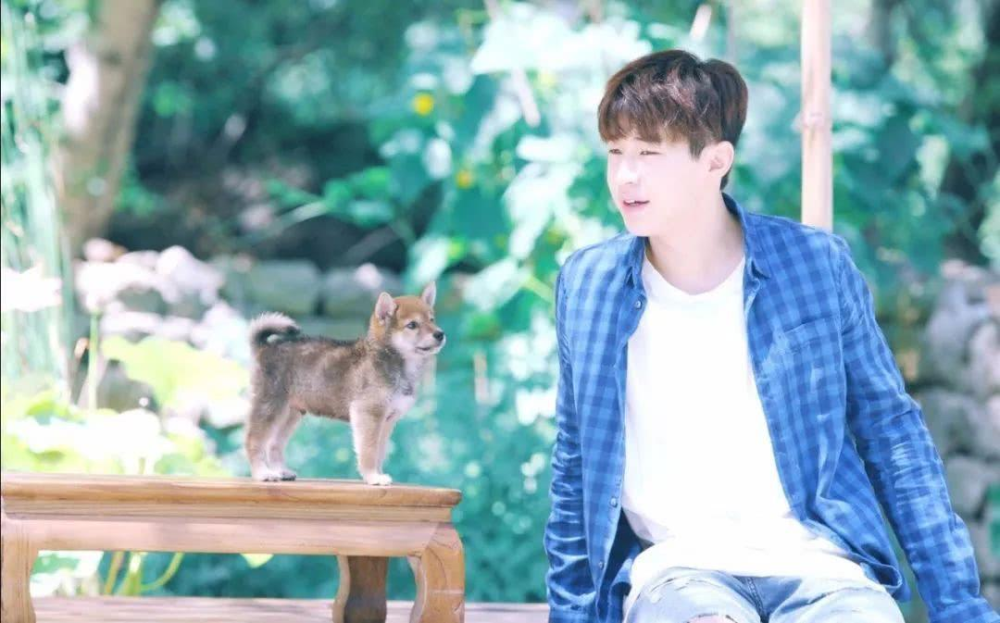 夏雪黃磊攜手演繹別樣精彩人生，新作品震撼來襲！???