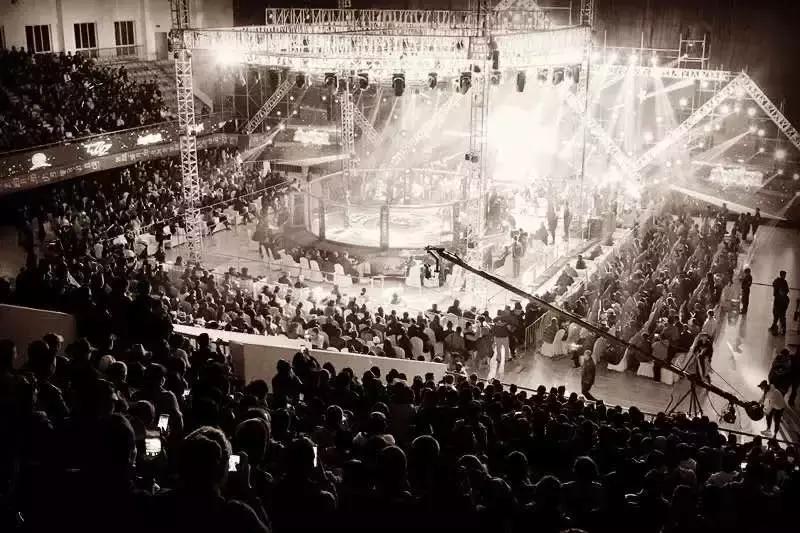 武林籠中對(duì)最新一期，自然美景中的對(duì)決與內(nèi)心平靜之旅