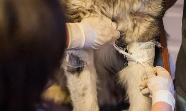 蘇州近期街邊情況，自然美景的心靈之旅體驗(yàn)紀(jì)實(shí)