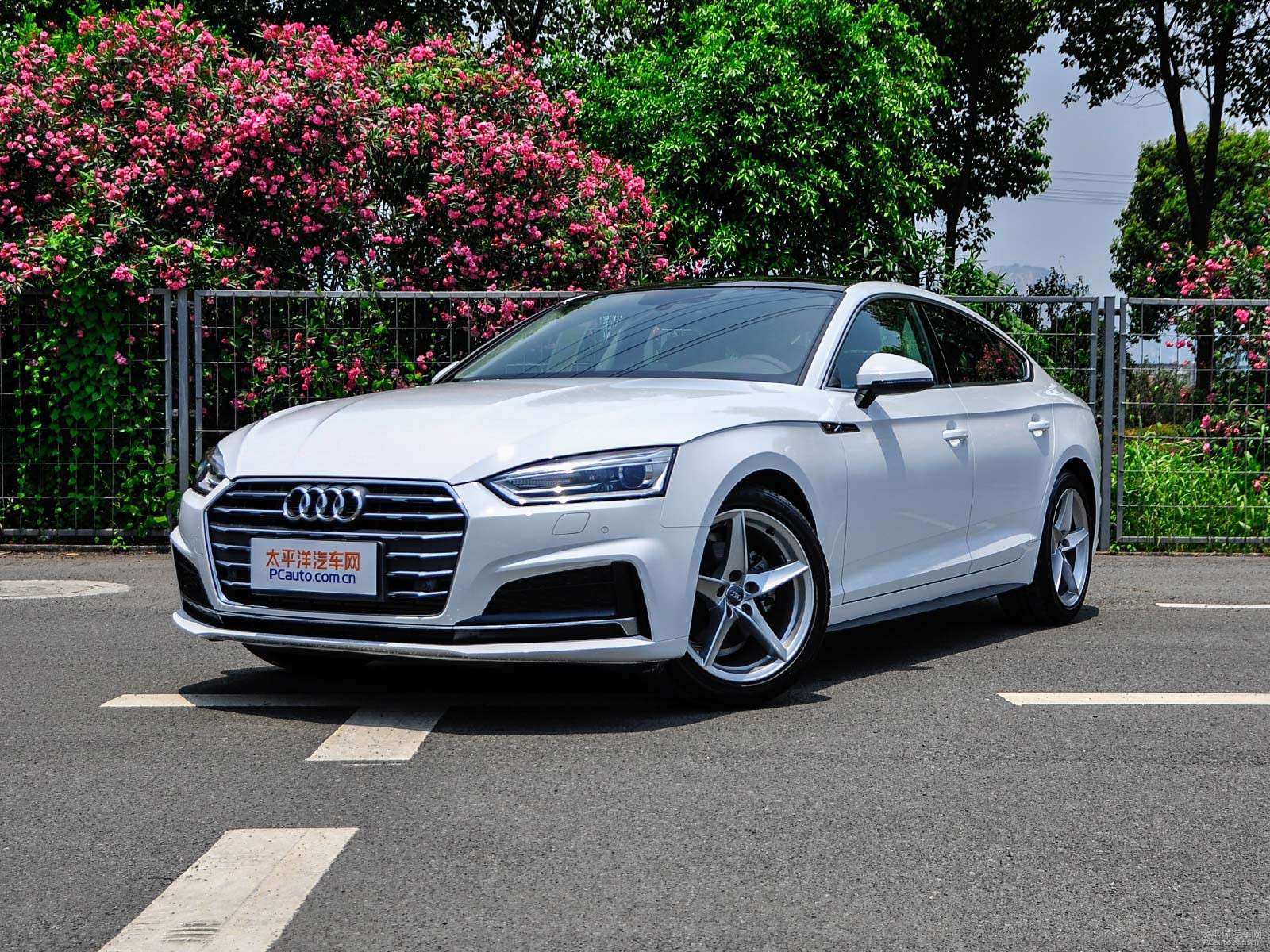 新款奧迪A5價格及圖片，自然美景探索之旅的絕佳選擇