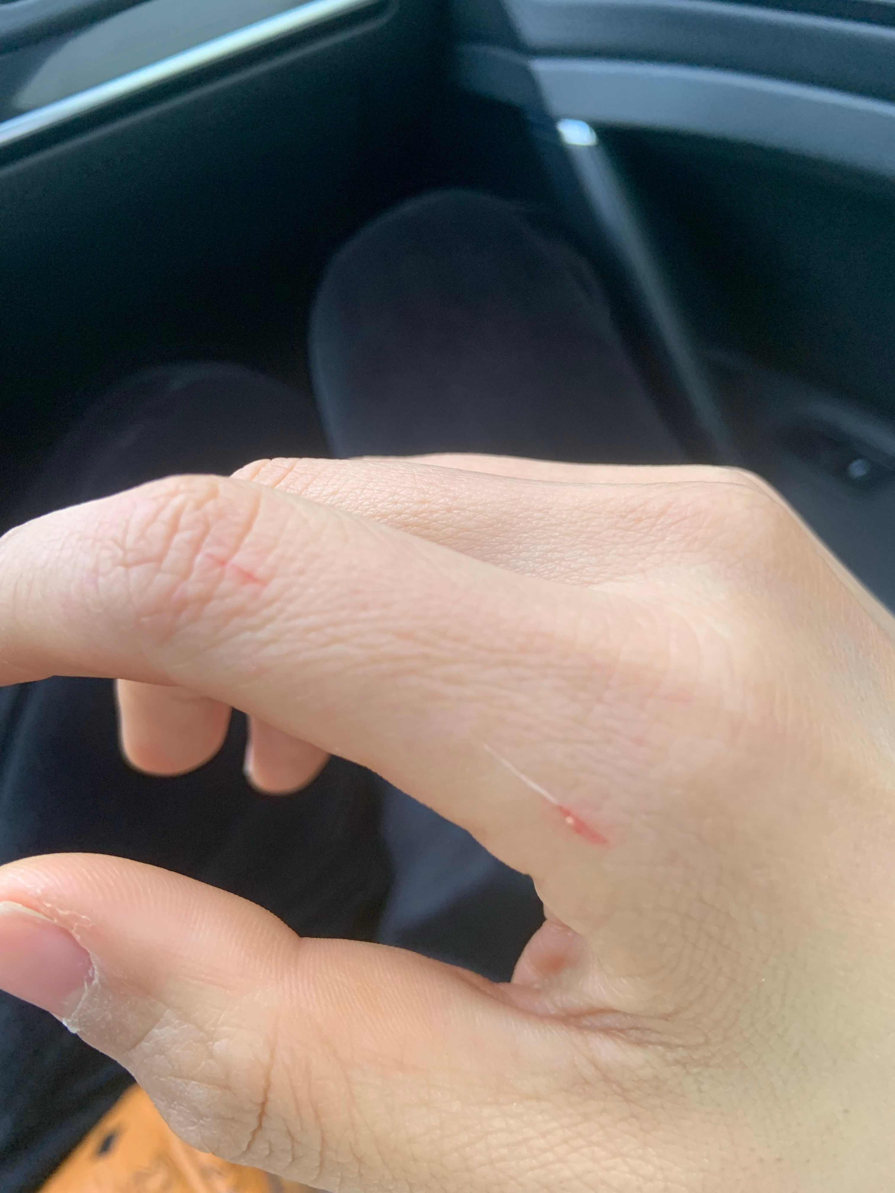 最新口子，開(kāi)啟學(xué)習(xí)之旅，擁抱變化的力量