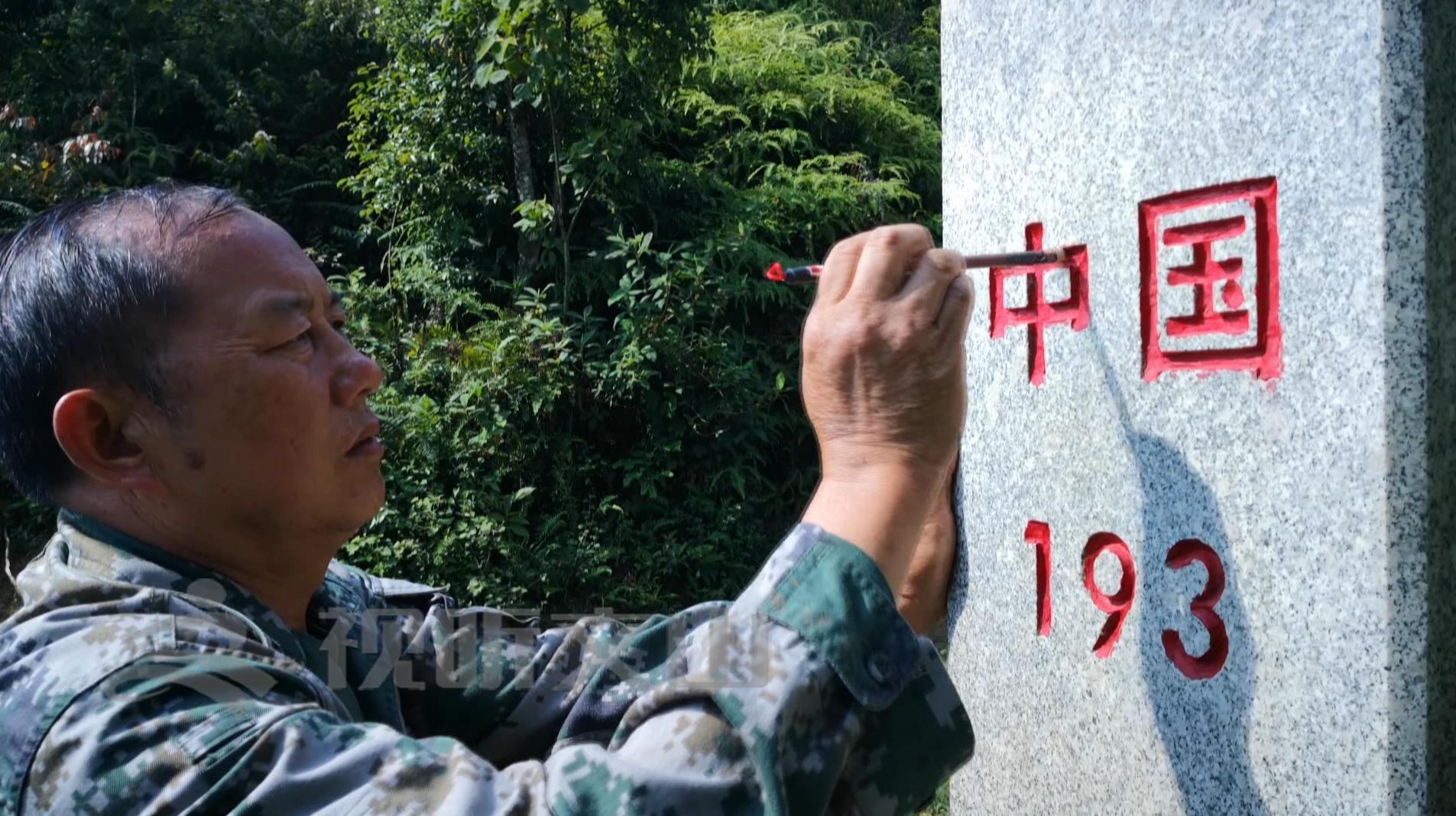 文山黃牛打架比賽，傳統(tǒng)與爭(zhēng)議的碰撞