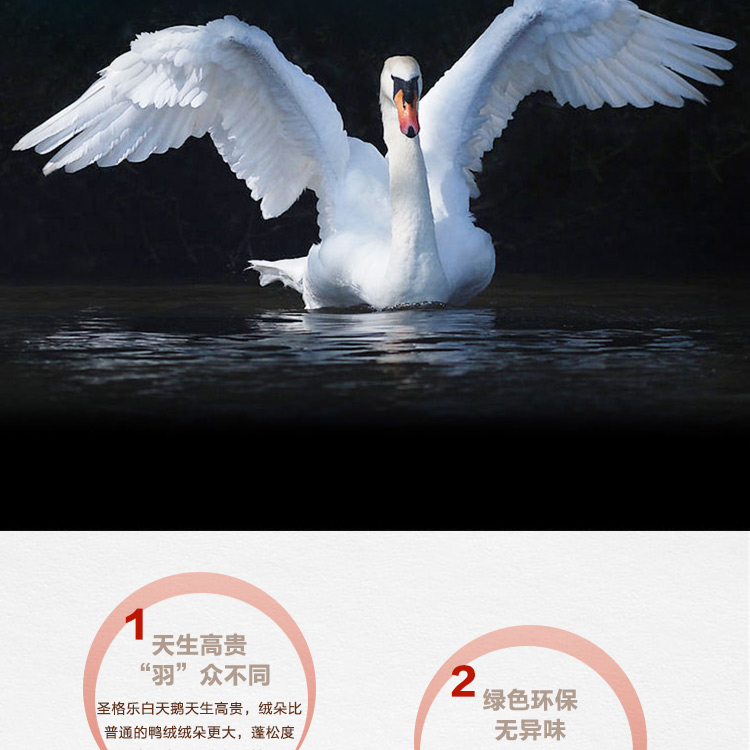 探索小巷羽絨寶藏，90白鵝絨價(jià)格與溫暖故事