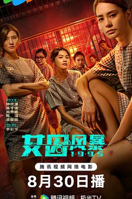 淘君爹最新影片，小巷深處的電影寶藏探索