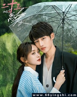 最新電視劇免費下載，小巷深處的影視寶藏探索