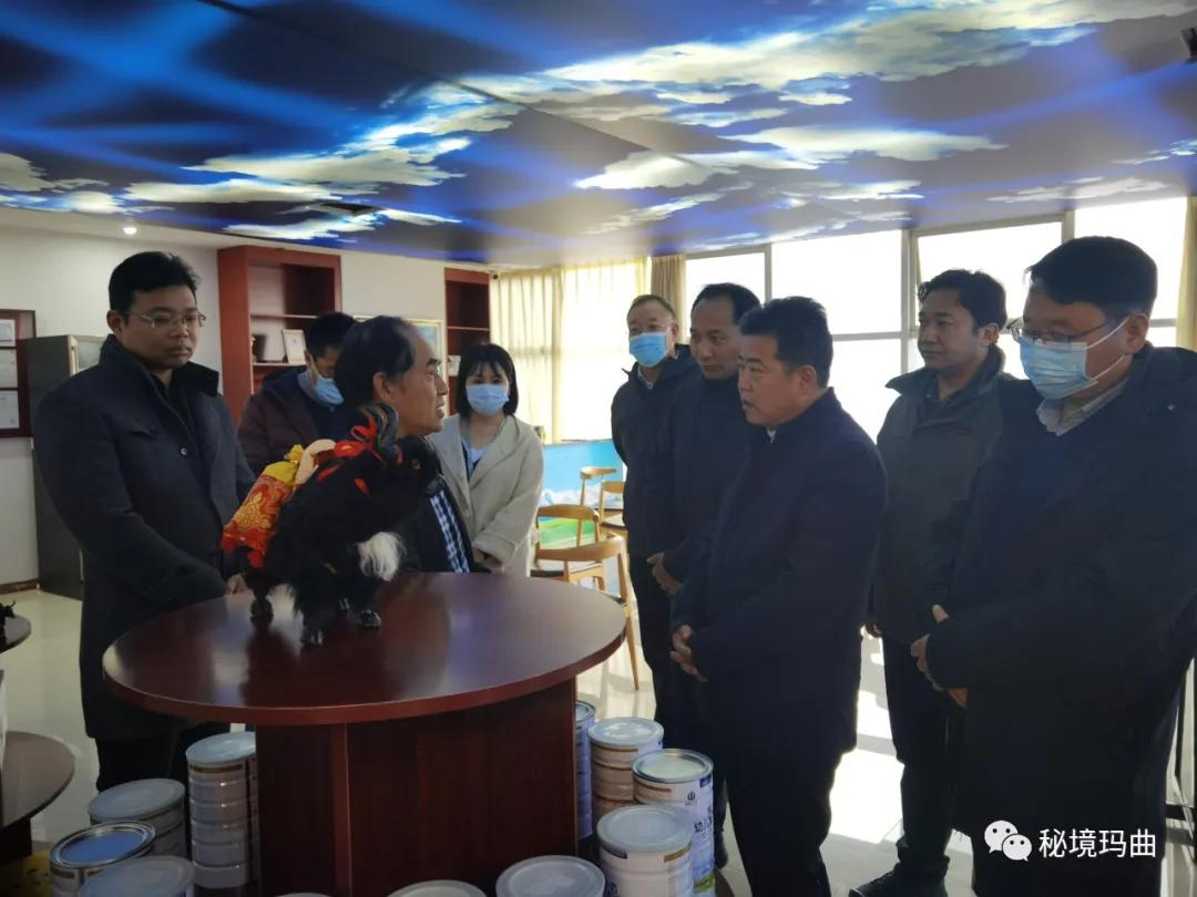 高原之寶上市，學(xué)習(xí)、蛻變與自信的輝煌之旅