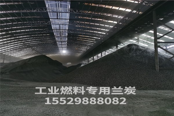 蘭炭價(jià)格揭秘，背后的故事與影響因素分析