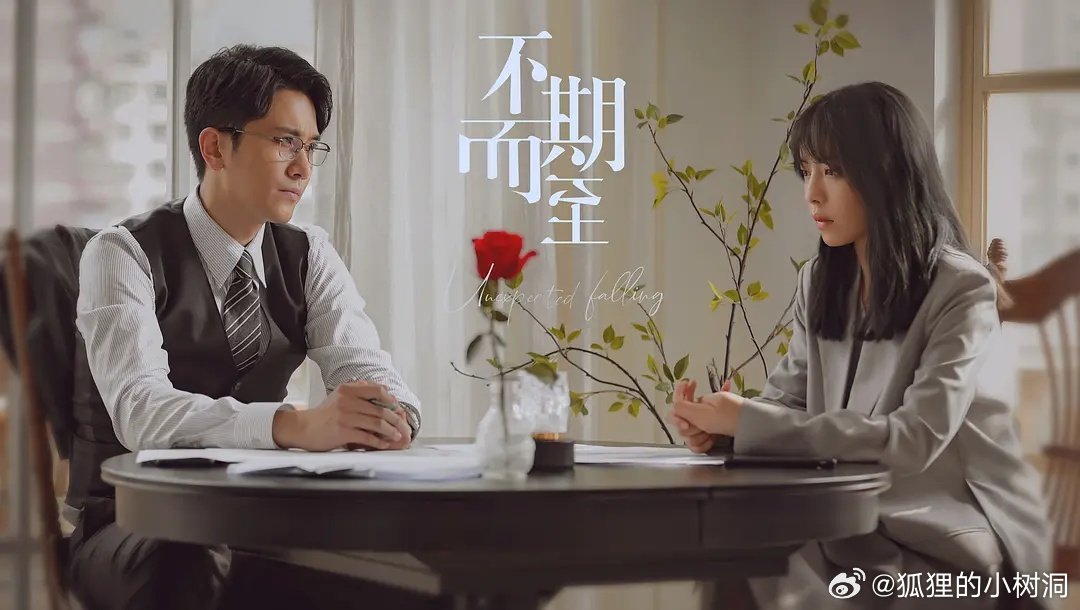 不期而至電視劇，從入門到進(jìn)階的觀看指南