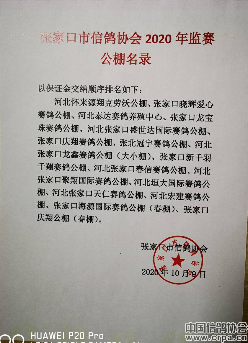 東光信鴿協(xié)會(huì)最新通告，小巷深處的獨(dú)特風(fēng)味揭秘與信鴿活動(dòng)更新通知
