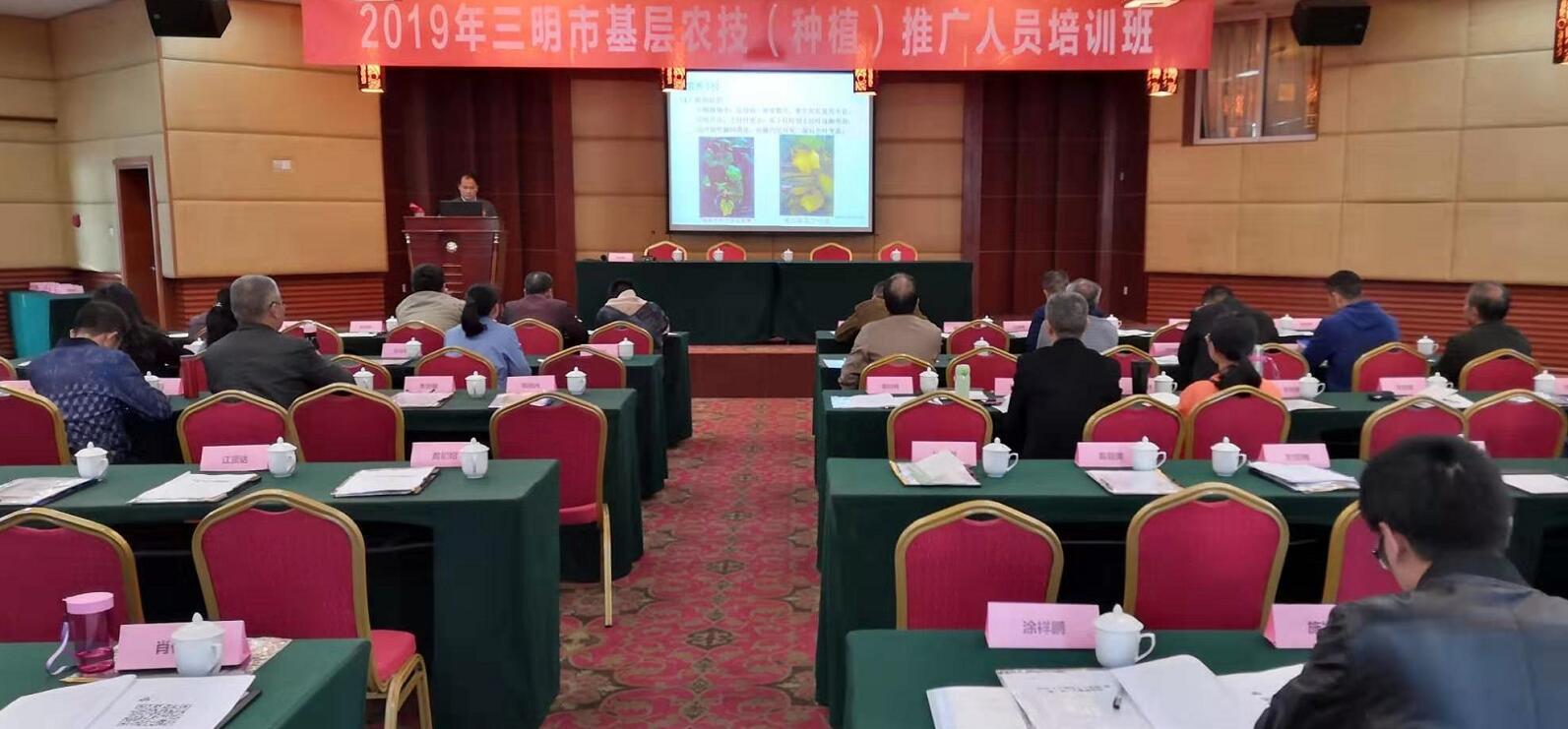 豇豆最新，廚房中的友情與家的溫馨