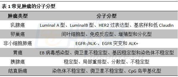 最新乳腺分類科技產(chǎn)品介紹，引領(lǐng)乳腺健康新篇章