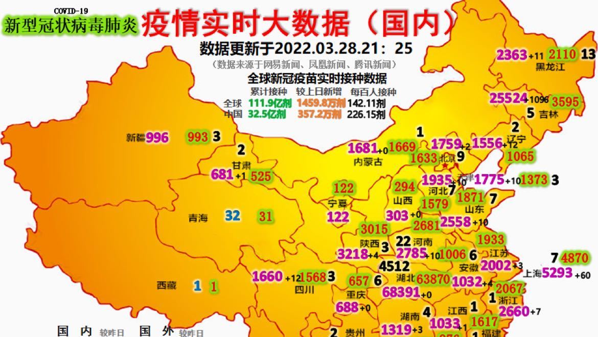 最新疫情動(dòng)態(tài)詳解，初學(xué)者與進(jìn)階用戶的步驟指南