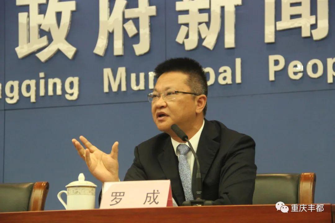 豐都新聞快訊，日常溫情與陪伴的瞬間