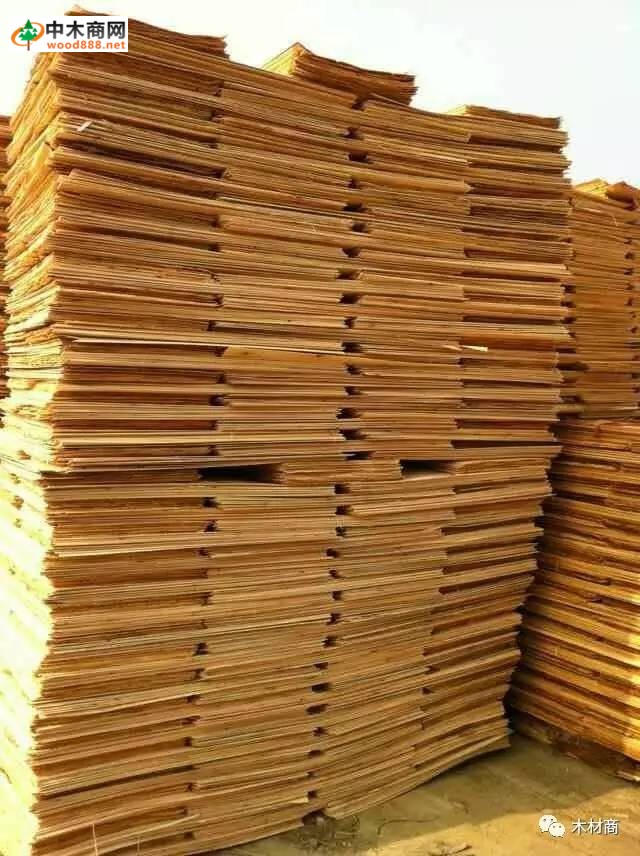 科技革新引領(lǐng)板皮廠行情，開(kāi)啟板材加工新時(shí)代