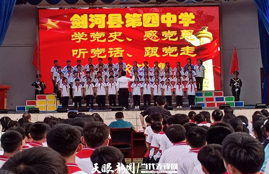 青蛙與狗的泳池挑戰(zhàn)，揭秘游泳比賽背后的故事，青蛙夢工廠的秘密探索