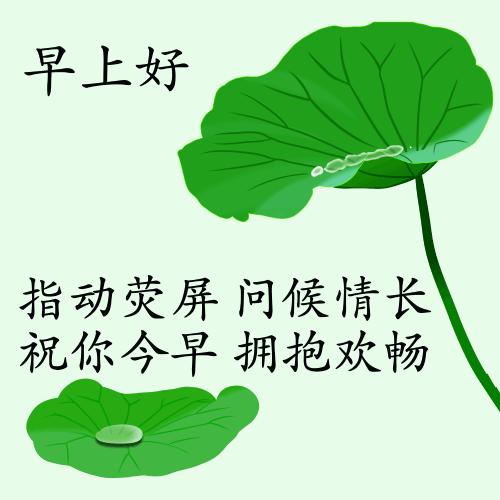 最新疫情動態(tài)下的自然探索之旅，追尋內(nèi)心的平和與寧靜