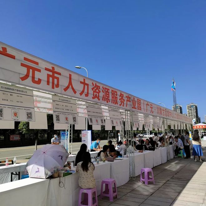 廣元最新招聘資訊詳解，觀點闡述與解析